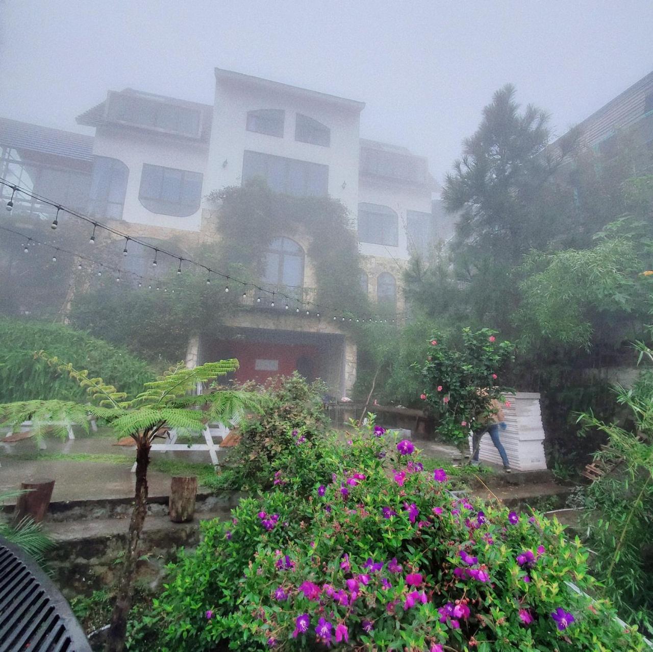 Le Vent Tam Dao Homestay Екстер'єр фото