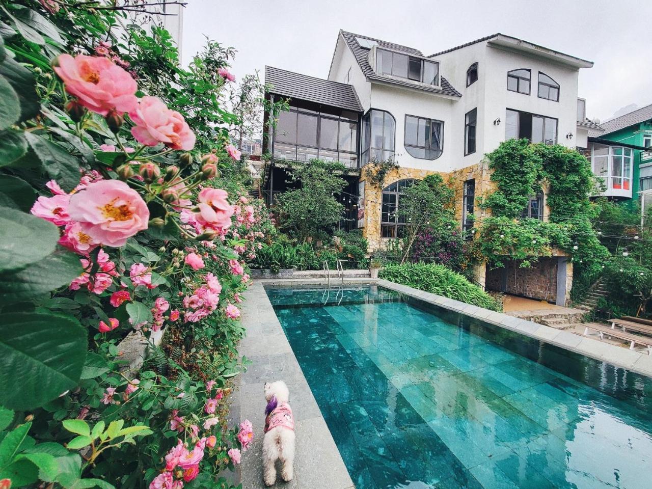 Le Vent Tam Dao Homestay Екстер'єр фото