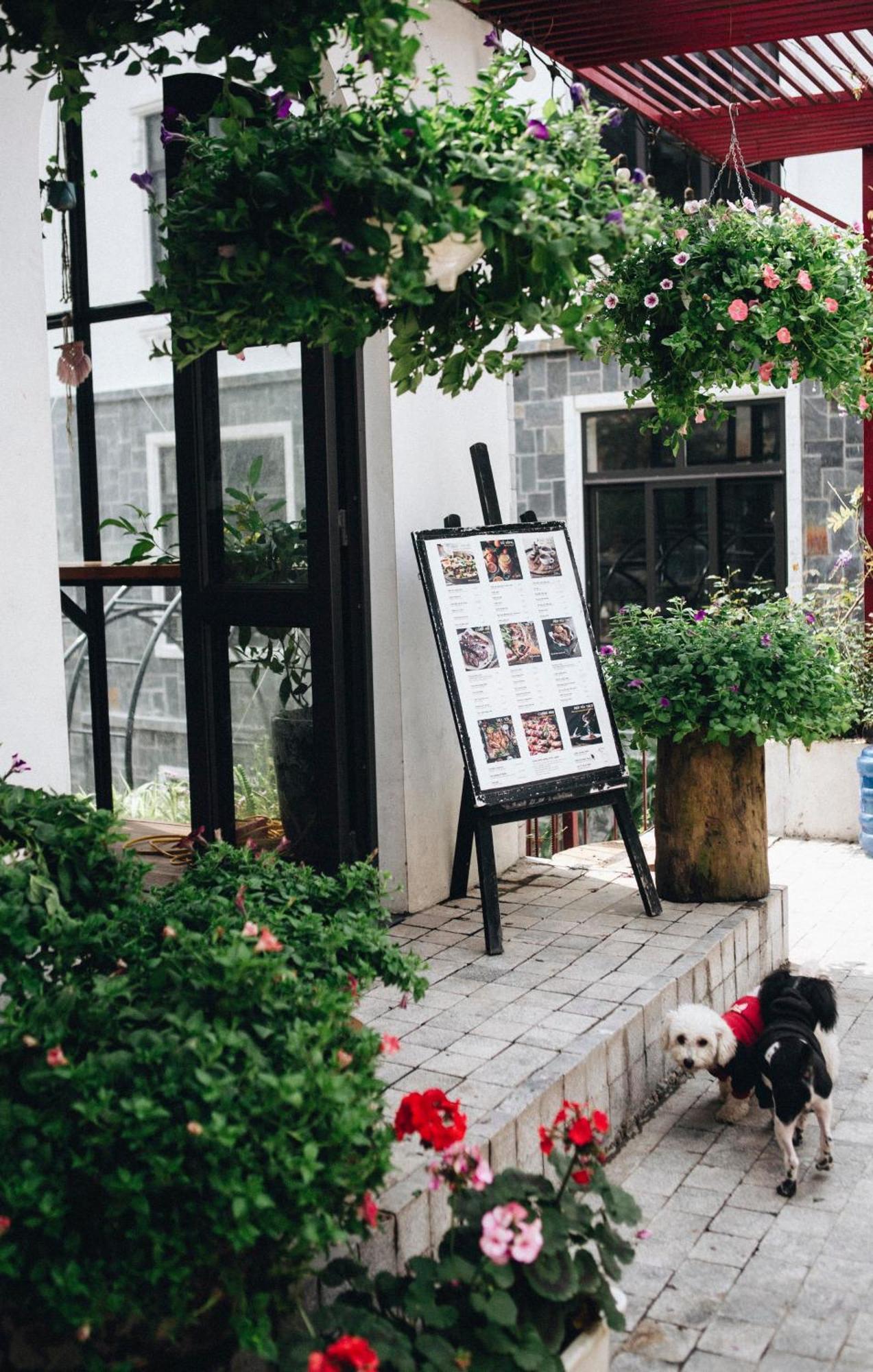 Le Vent Tam Dao Homestay Екстер'єр фото
