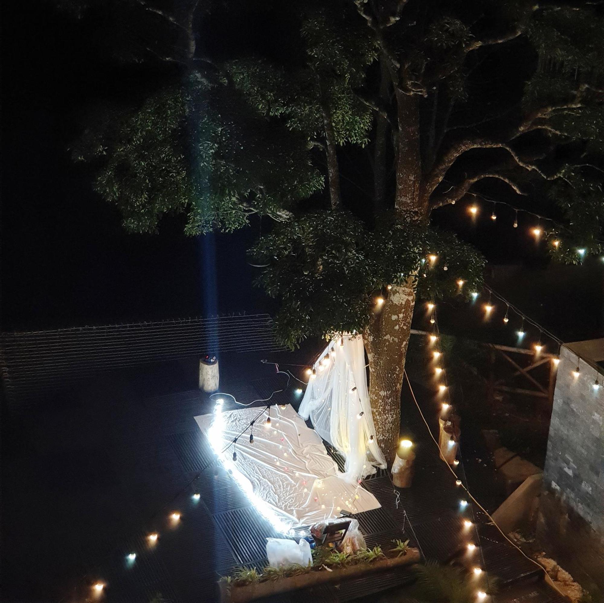 Le Vent Tam Dao Homestay Екстер'єр фото